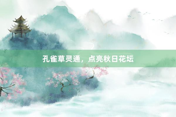 孔雀草灵通，点亮秋日花坛