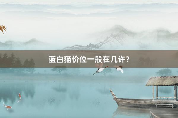 蓝白猫价位一般在几许?